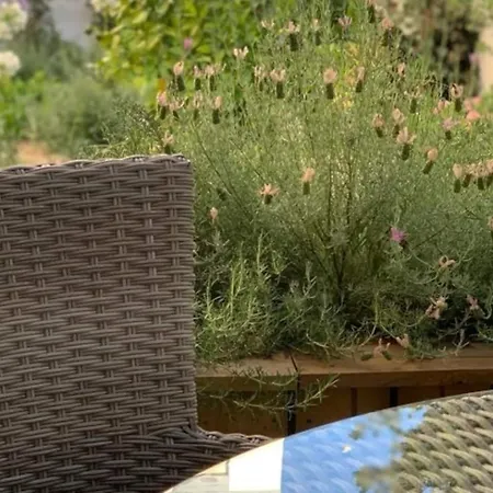 Apartment Charming Design With Garden In *