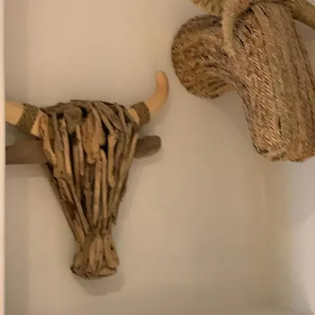 Apartment Charming Design With Garden In