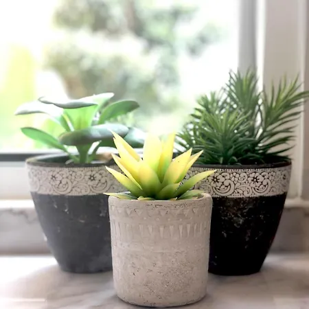 Charming Design With Garden In Moita (Setubal)