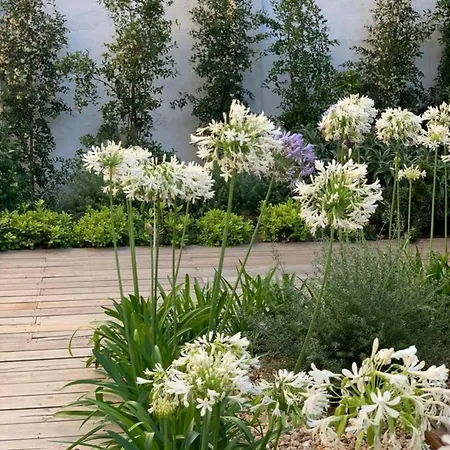 Charming Design With Garden In Lejlighed