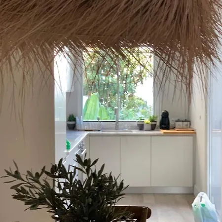 Charming Design With Garden In *