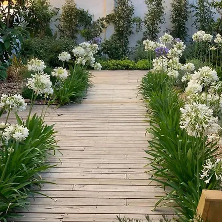 Charming Design With Garden In Moita (Setubal)